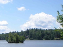 Site logo